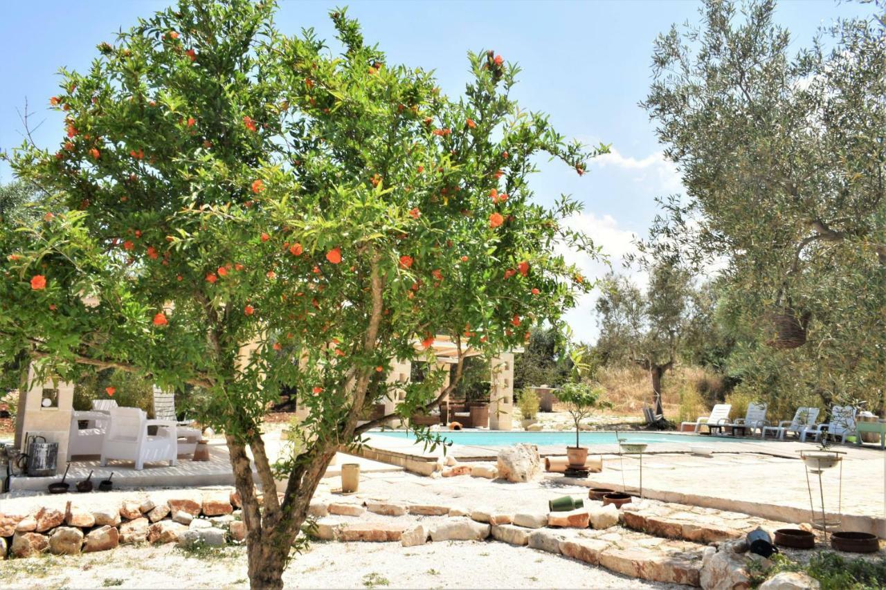 Wepuglia - Paradise Trulli كاستيلانا غروتي المظهر الخارجي الصورة